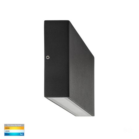 Essil Black Up & Down LED Wall Light